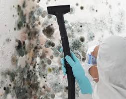 Professional Mold Prevention & Removal  in Republic, PA